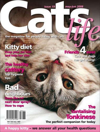 Cats Life