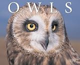 Owls 2007 Calendar