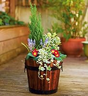 Large Planted Barrel