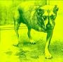 Alice in Chains [Vinyl]