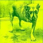 Click here to buy Alice in Chains by  Alice In Chains .