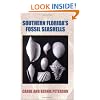 Southern Florida's Fossil Seashells
