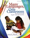 Many languages, one classroom