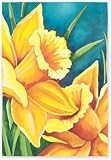 Daffodil Garden Flag