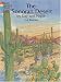 The Sonoran Desert by Day and Night (Dover Pictorial Archive Series)