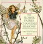 The Flower Fairies Changing Seasons: A Sliding Picture Book (Flower Fairies)