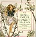 The Flower Fairies Changing Seasons: A Sliding Picture Book (Flower Fairies)