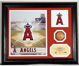 Los Angeles Angels Team Pride Photo Mint