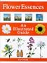 Flower Essences: An Illustrated Guide