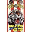 Buy Big Cats of the Big Top [VHS]