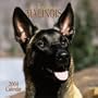 Belgian Malinois 2004 Calendar