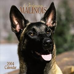 Belgian Malinois 2004 Calendar