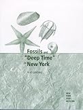 Fossils and 