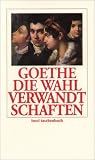Die Wahlverwandtschaften: Ein Roman (insel taschenbuch)
