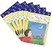 Books : Super-Science Readers - The Night Sky (Grades 2-3)