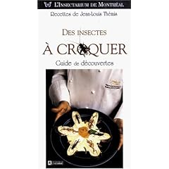 Des insectes � croquer