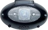 Eyewatch Outdoor Wireless Solar Security Motion Alarm Detector, Black, Set of 1