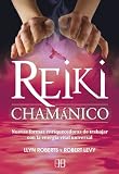 Reiki chamánico: Nuevas formas enriquecedoras de trabajar con la energía vital universal
