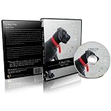 A Dogs Tale
