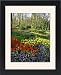 Framed Prints of Flowering bulbs on display at the Keukenhof Gardens in Lisse, Holland, Europe from Robert Harding