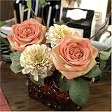 Amber Con Rosa