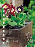 Planted Junk 画像