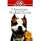 America pit bull terriers