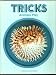 Image of Tricks Animals Play (Books for Young Explorers)