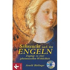 Sehnsucht nach den Engeln. Zug�nge zu einer geheimnisvollen Wirklichkeit