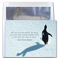 Trail Maker - New Year Holiday Cards, Box of 10 cards and envelopes