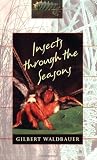 Insects through the Seasons