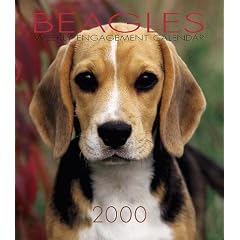 Beagles Weekly Engagement Calendar: Year 2000