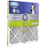 BestAir PF2020-1カーボンフューズペットフィルター20x20x1