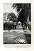 C1920 America Florida Palm Beach California Camping