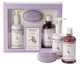 Lilac Gift Set