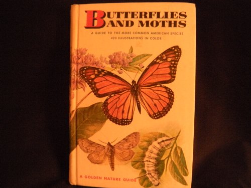butterflies and moths golden guides