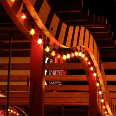 Medium Base Suspended 48' String Light Color: Black