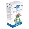 Alvita Tea Bags, Milk Thistle, 24 tea bags (Pack of 3)