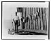 Historic Print (L): [Man, back to water, holding rod and reel, several fish strung up...