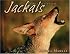 Jackals (Animal Scavengers)