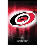 Carolina Hurricanes Poster Nhl Team Logo 8416