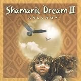 Shamanic Dream Vol.2