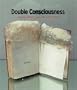 Double Consciousness