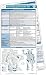 Neurology Pocketcard Set (2)