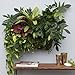 Living Wall Planter INDOOR/OUTDOOR USE w/Reservoir  (Color: Chocolate) Vertical Garden (Modular, Sustainable, Eco, Green) Hanging Planter