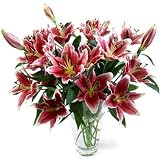 Cobra Lilies