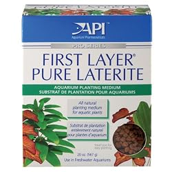 API FIRST LAYER PURE LATERITE 20 OZ