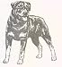 Dog Rubber Stamp - Rottweiler - 2F