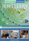 Two in One Jewellery (Two-in-one Manuals)