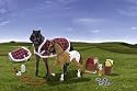 Gee Gee Friends - Horse Care Set